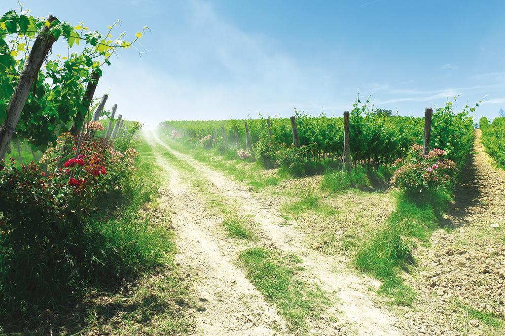 Roccafiore Wine Resort & Spa Тоди Экстерьер фото