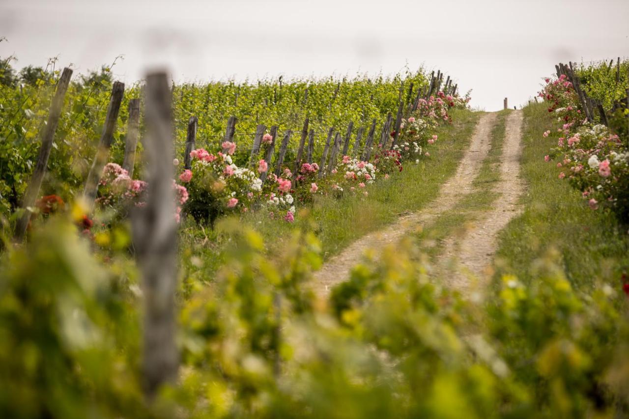 Roccafiore Wine Resort & Spa Тоди Экстерьер фото