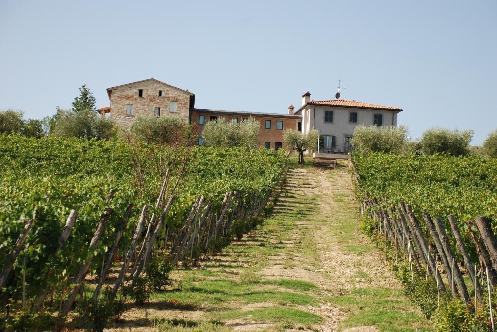 Roccafiore Wine Resort & Spa Тоди Экстерьер фото